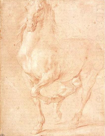 Study of a Horse, PUGET, Pierre